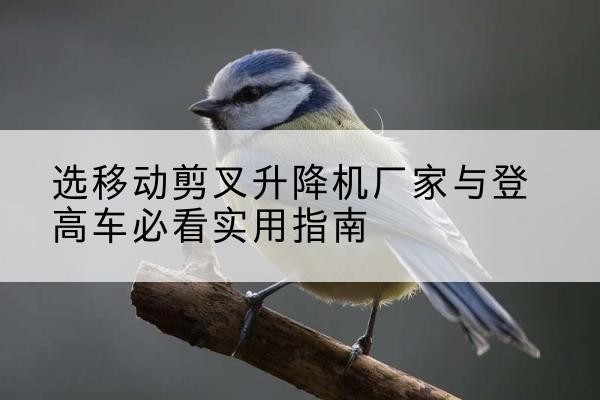 宣汉电动升降机厂家-选移动剪叉升降机厂家与登高车必看实用指南