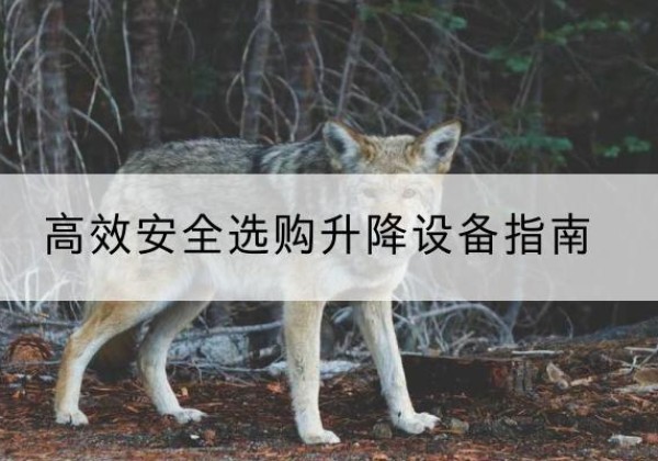 宣汉升降货梯厂家推荐-*安全选购升降设备指南
