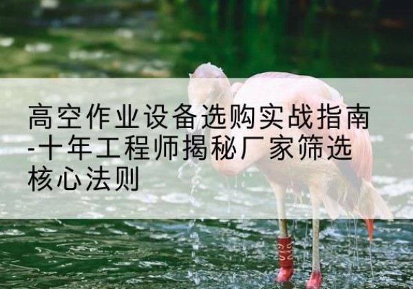 宣汉剪叉式升降机厂家-高空作业设备选购实战指南-十年工程师揭秘厂家筛选核心法则